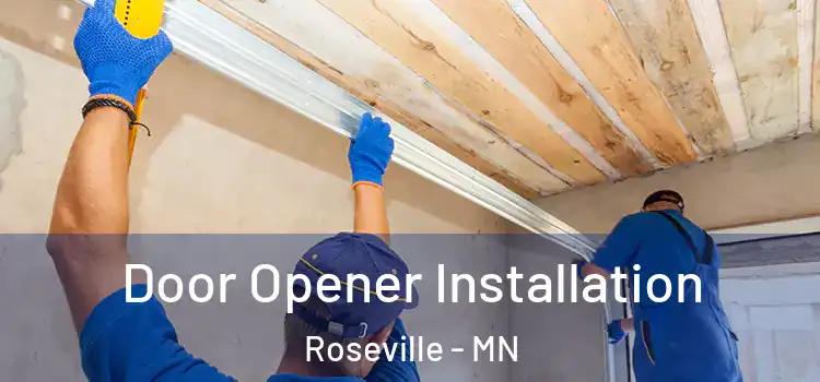  Door Opener Installation Roseville - MN