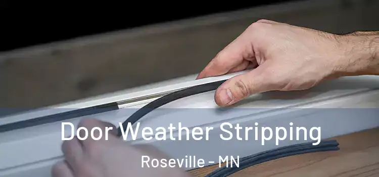  Door Weather Stripping Roseville - MN
