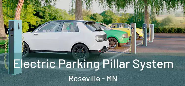  Electric Parking Pillar System Roseville - MN