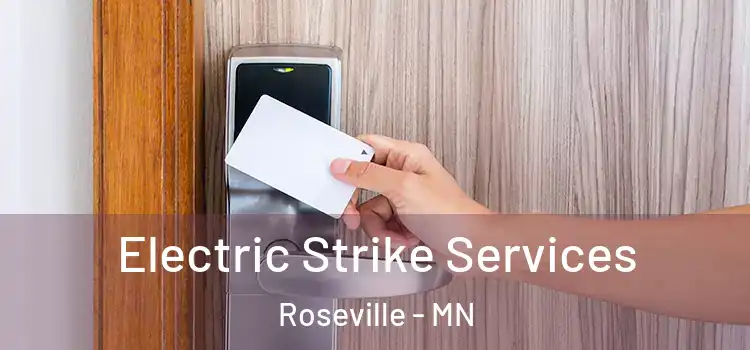 Electric Strike Services Roseville - MN