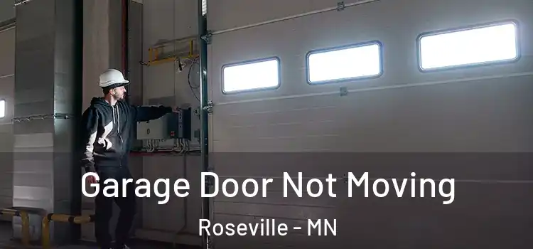  Garage Door Not Moving Roseville - MN