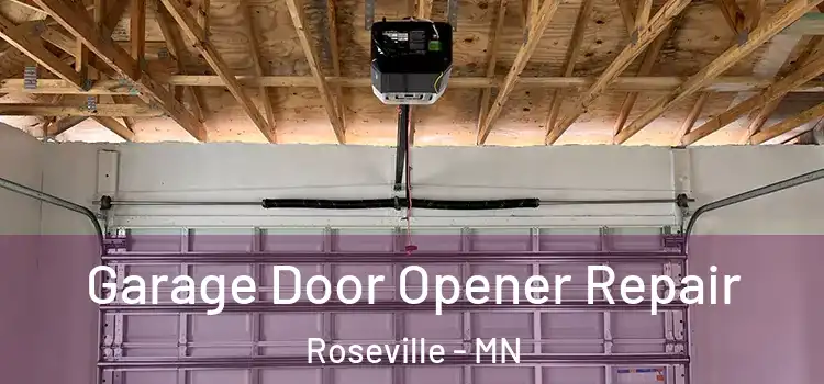  Garage Door Opener Repair Roseville - MN