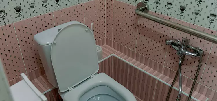 Meeting Diverse Needs With Accessible Restroom Solutions in Roseville, MN