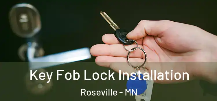  Key Fob Lock Installation Roseville - MN