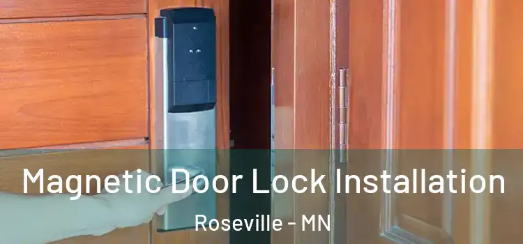  Magnetic Door Lock Installation Roseville - MN