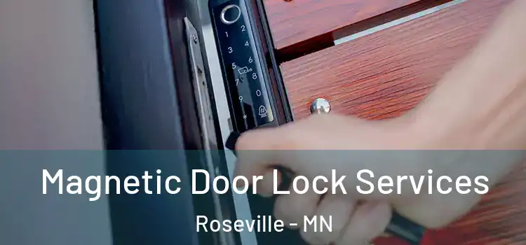  Magnetic Door Lock Services Roseville - MN