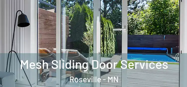  Mesh Sliding Door Services Roseville - MN