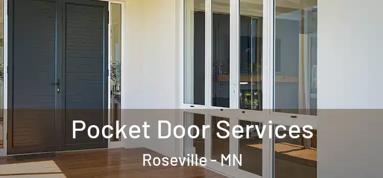  Pocket Door Services Roseville - MN