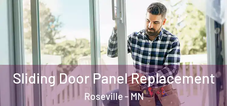  Sliding Door Panel Replacement Roseville - MN